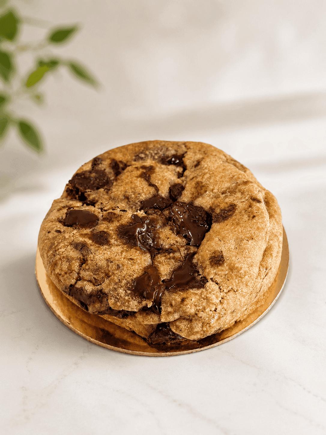 Chocolate Chip Cookie